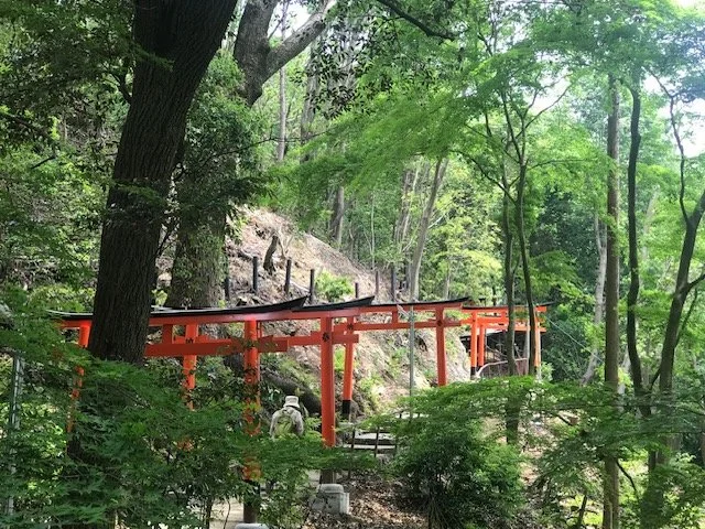 Orange torii gates in a forested area, with green trees and a dirt path, possibly a shrine trail.