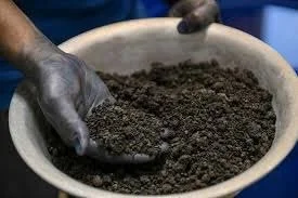 Person with blue hands handling natural sukumo indigo dye in a white bowl.
