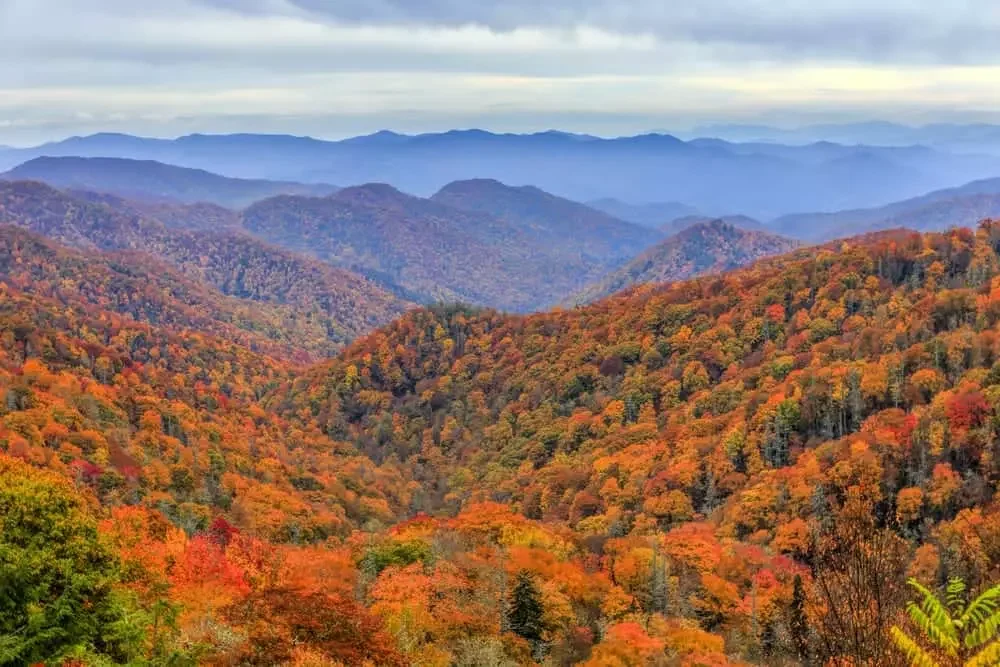 A scenic view of rolling mountains covered in colorful autumn trees, with a cloudy sky overhead.