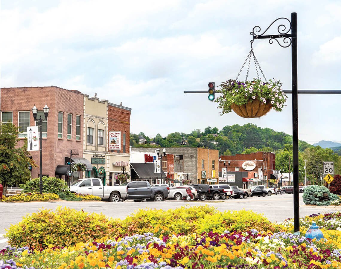 A small town main street with colorful storefronts, parked cars, a traffic light, and a hanging flower basket in the foreground.