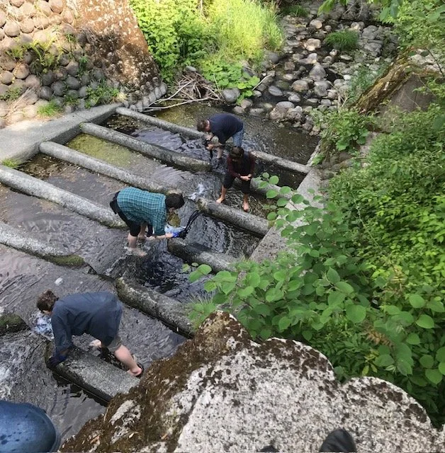 Four people are working in a small creek with concrete barriers and pipes, surrounded by green trees and bushes.