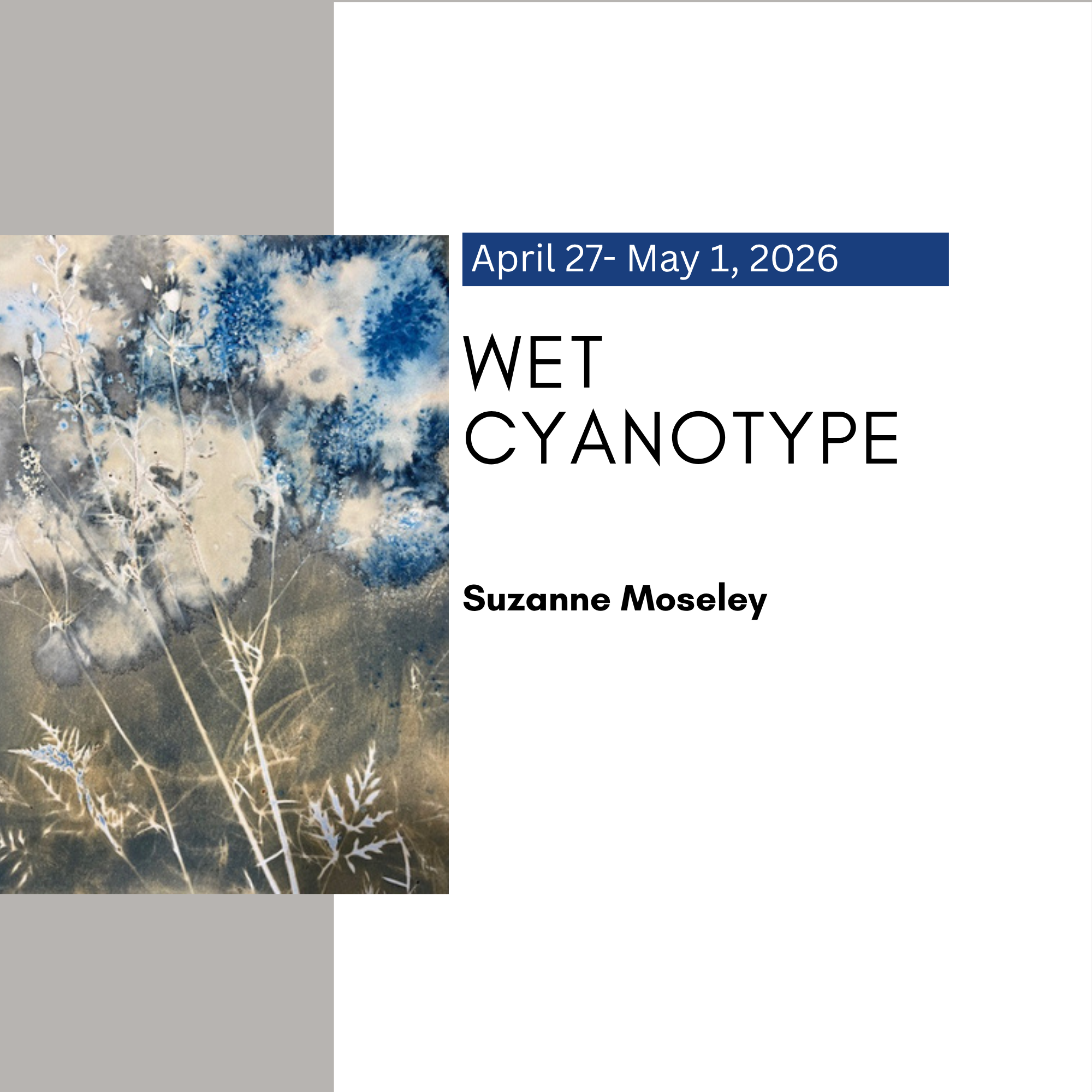 Wet Cyanotype with Suzanne Moseley