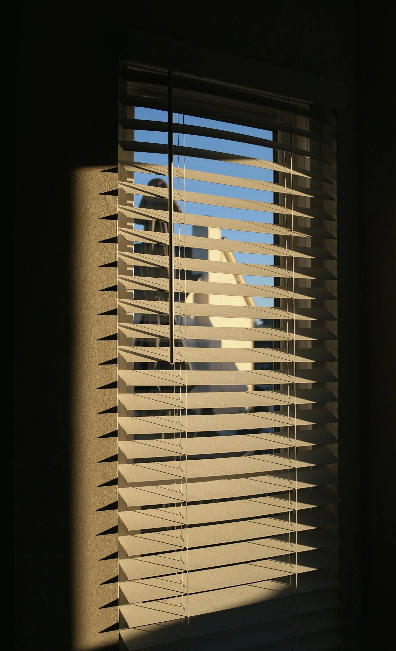Sunlight streaming through a window with white blinds, casting shadows on the wall.