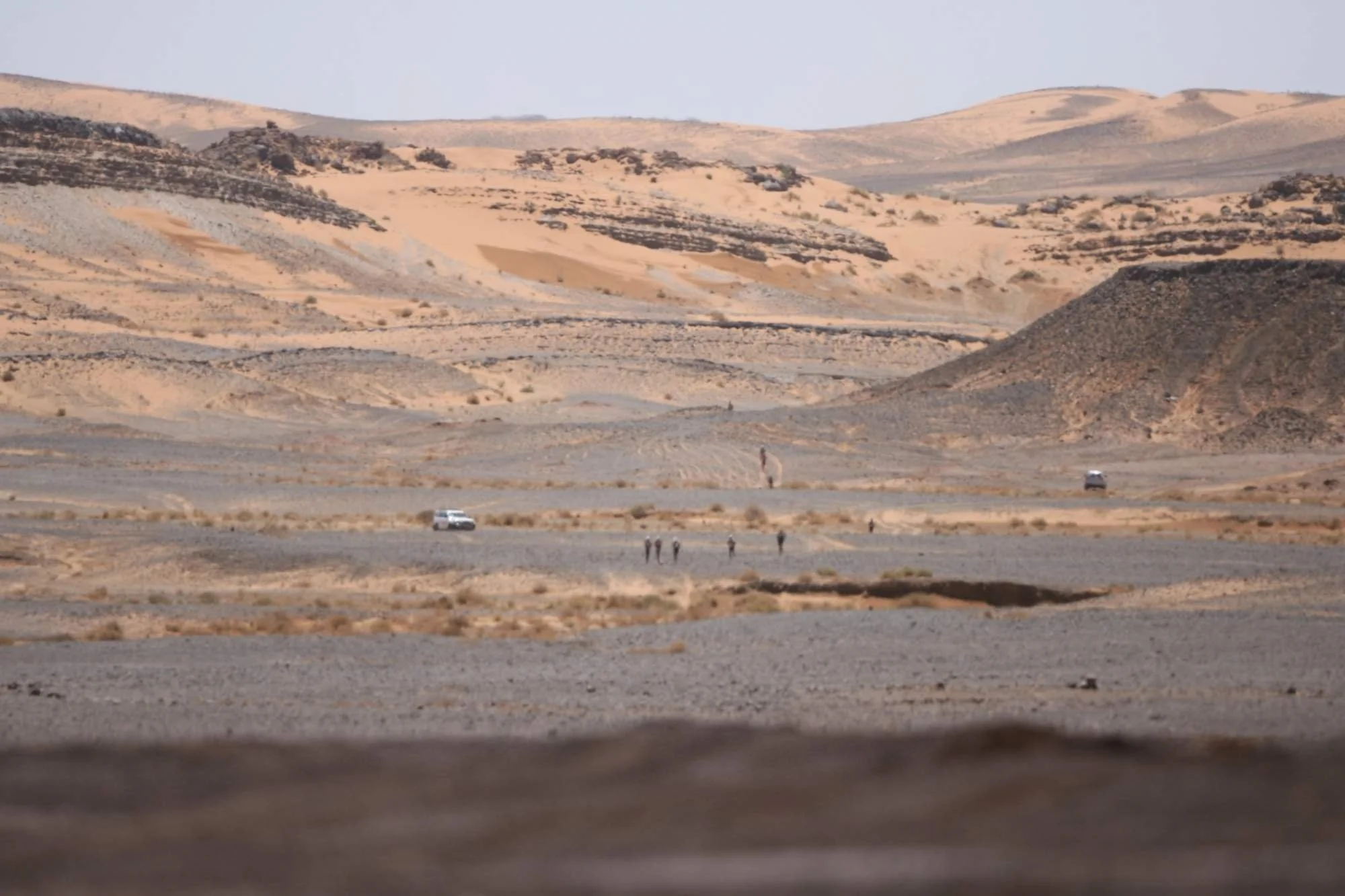 10 Tips for a Successful MDS