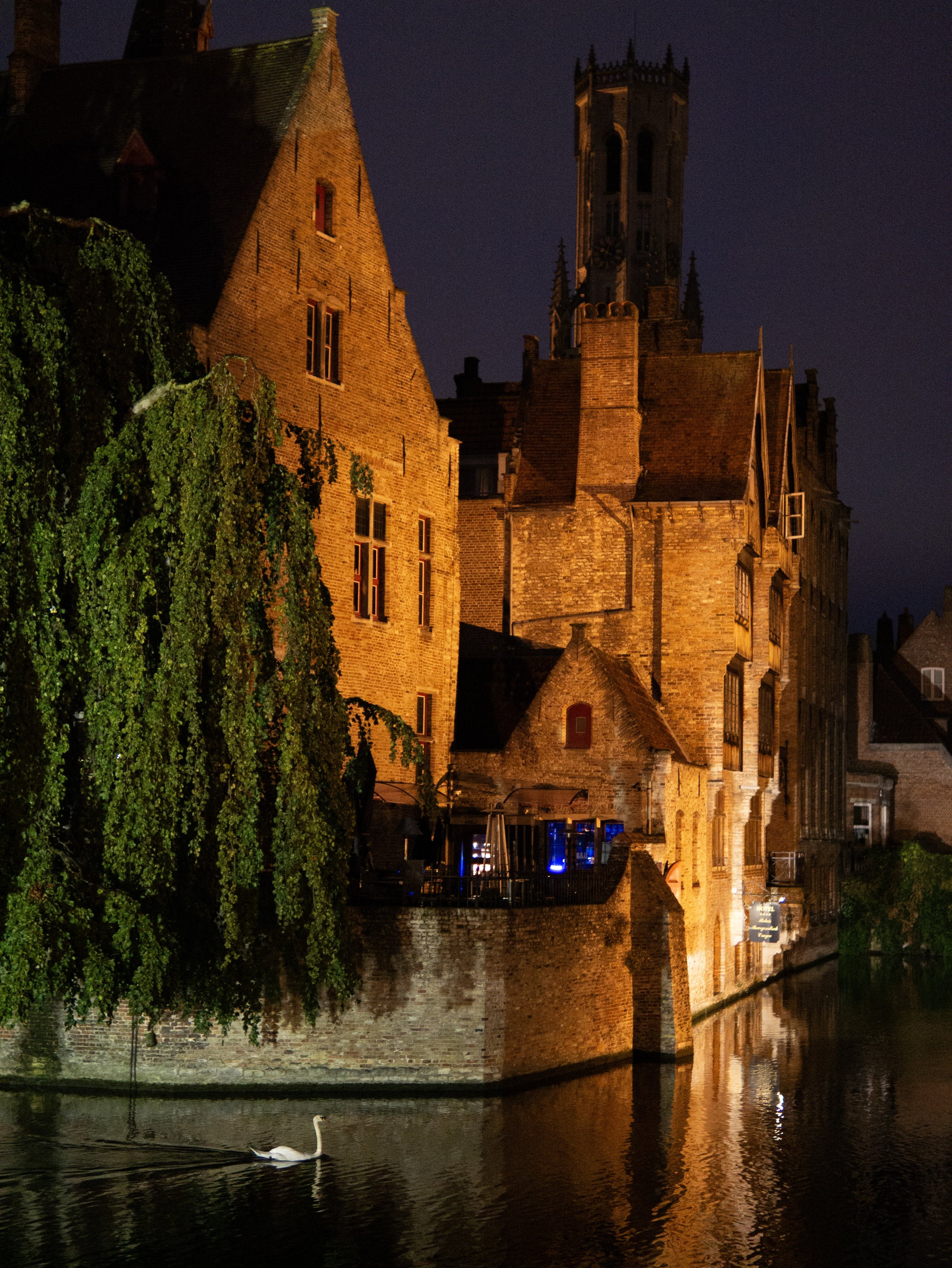 11-P1140196.jpg