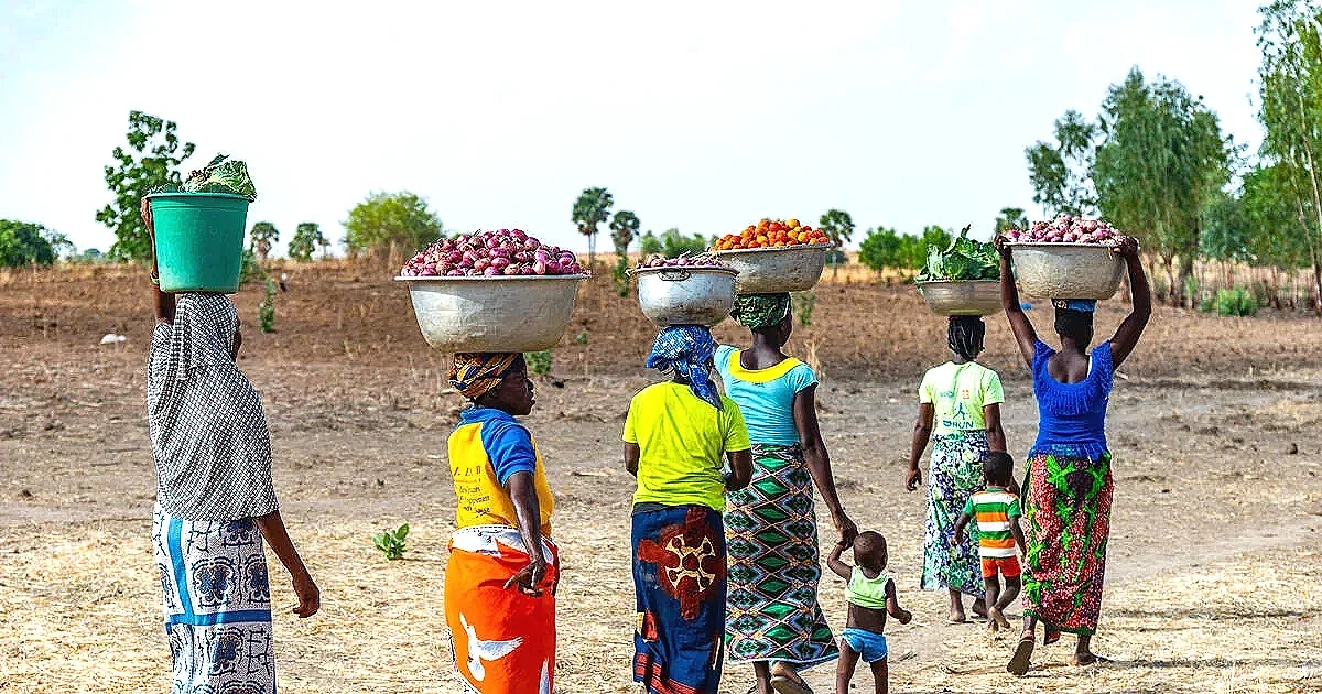 Groupe de femmes et d’enfants marchant dans un paysage rural, transportant des paniers de légumes sur la tête, constituant une cible privilégiée pour l’octroi de microcrédits par Nirvana Distributions.