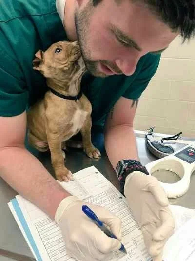 Step 2 - Nutrition plan formulation