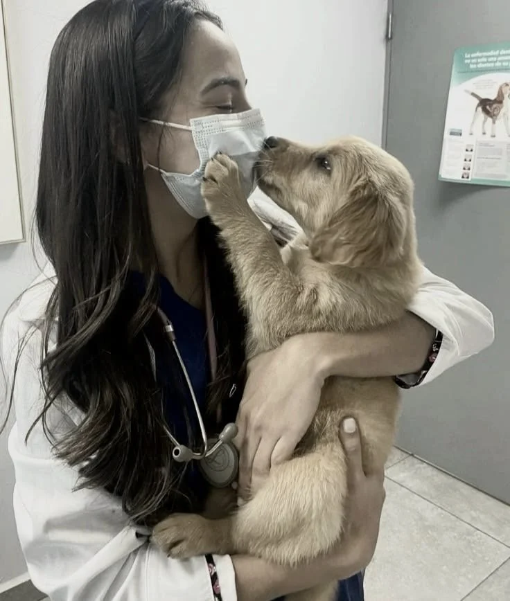 Step 1 - Veterinary Consultation