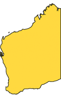 Onsite Automotive Inspection Services
Western Australia