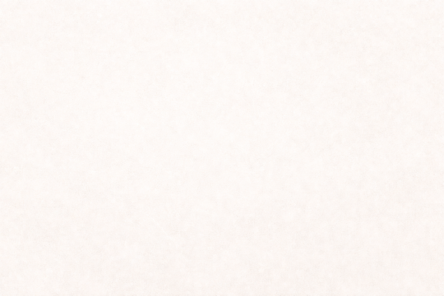 Blank white background with a subtle textured pattern.