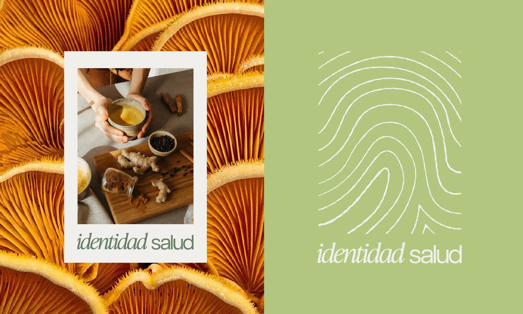 Identidad Salud_Fase04_28 Nov-23.jpg