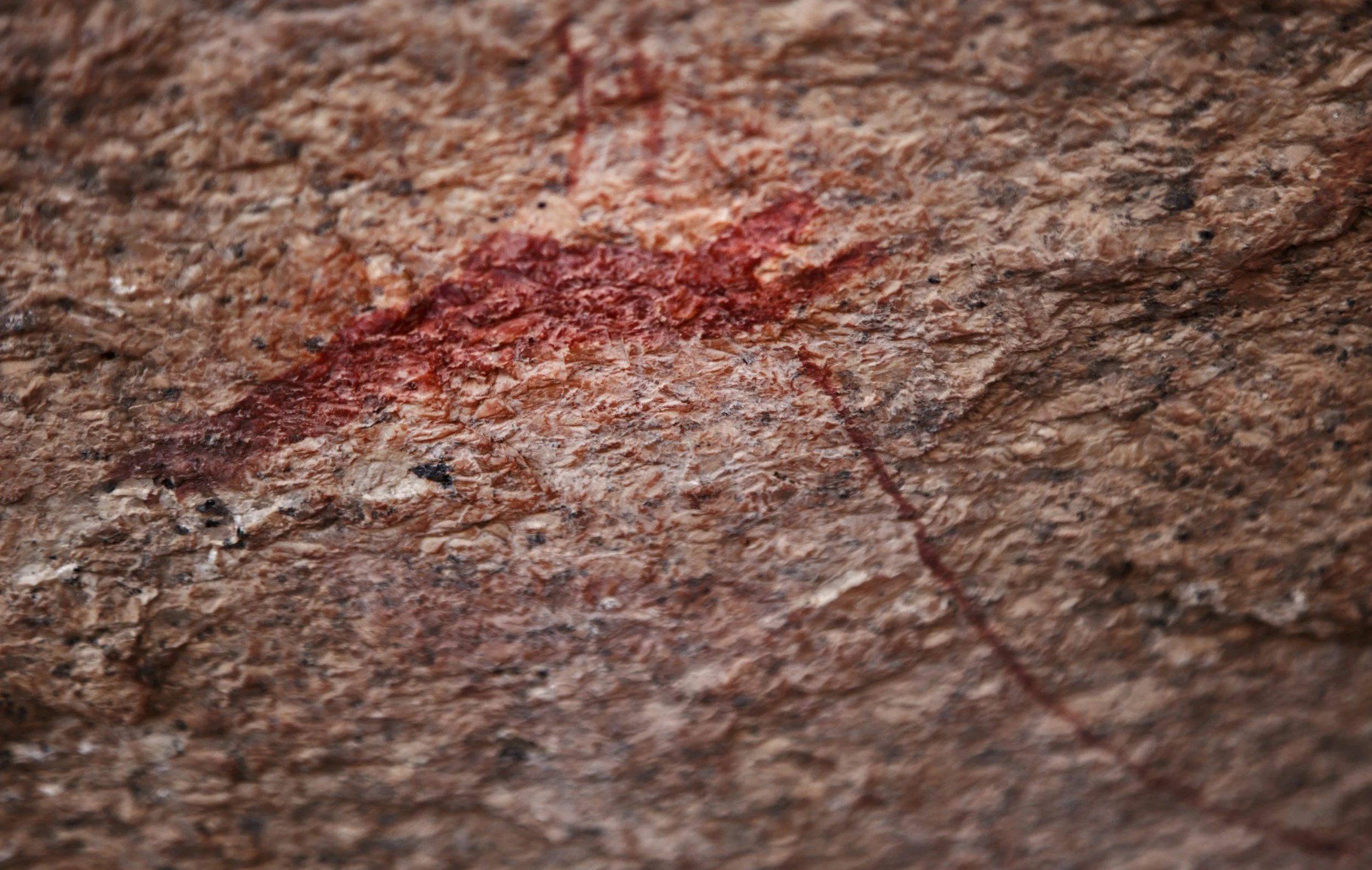 Close-up of a textured, reddish-brown rock surface with some reddish markings or stains.