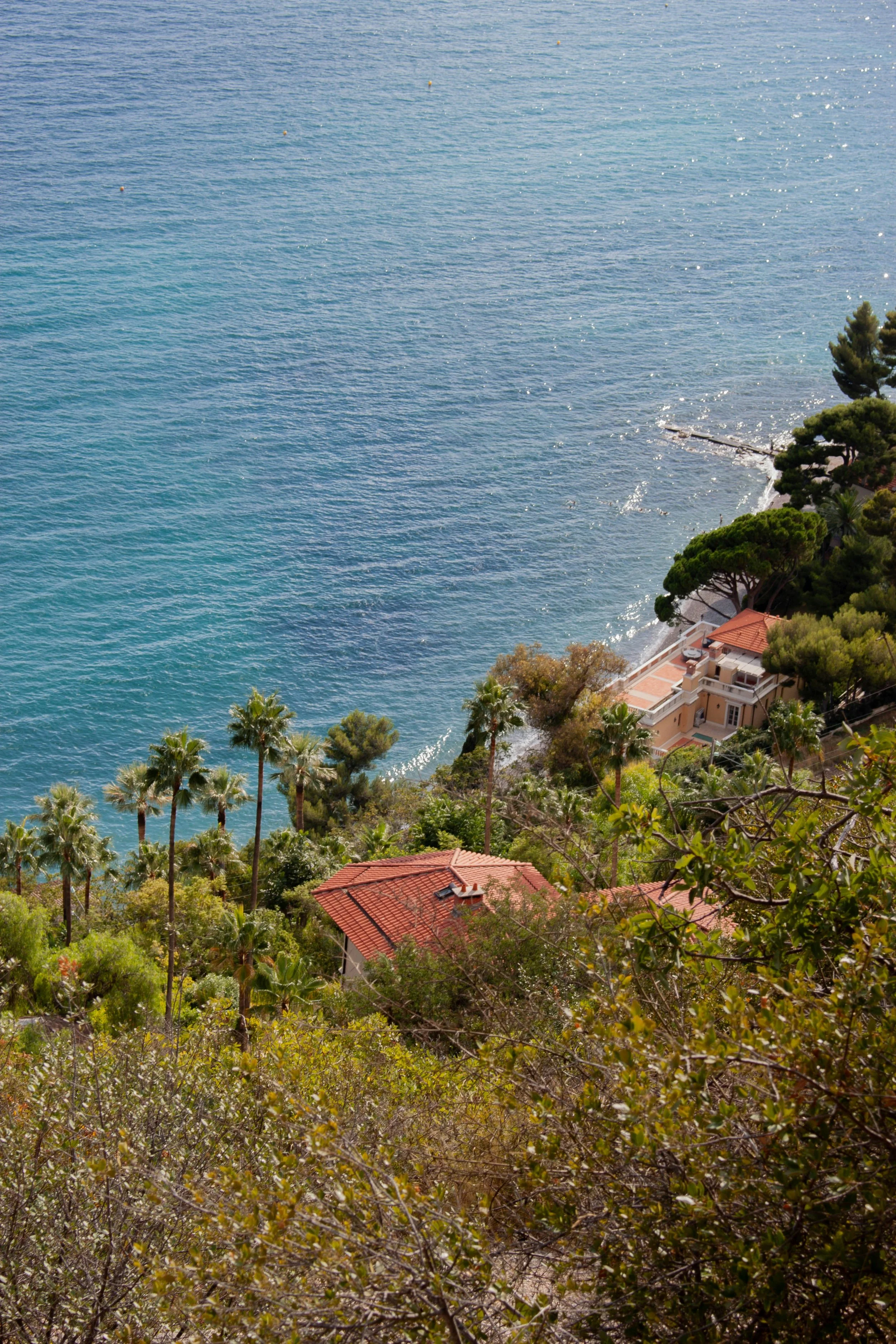 A coastal scene with blue ocean water and shoreline buildings surrounded by lush green trees and palm trees.