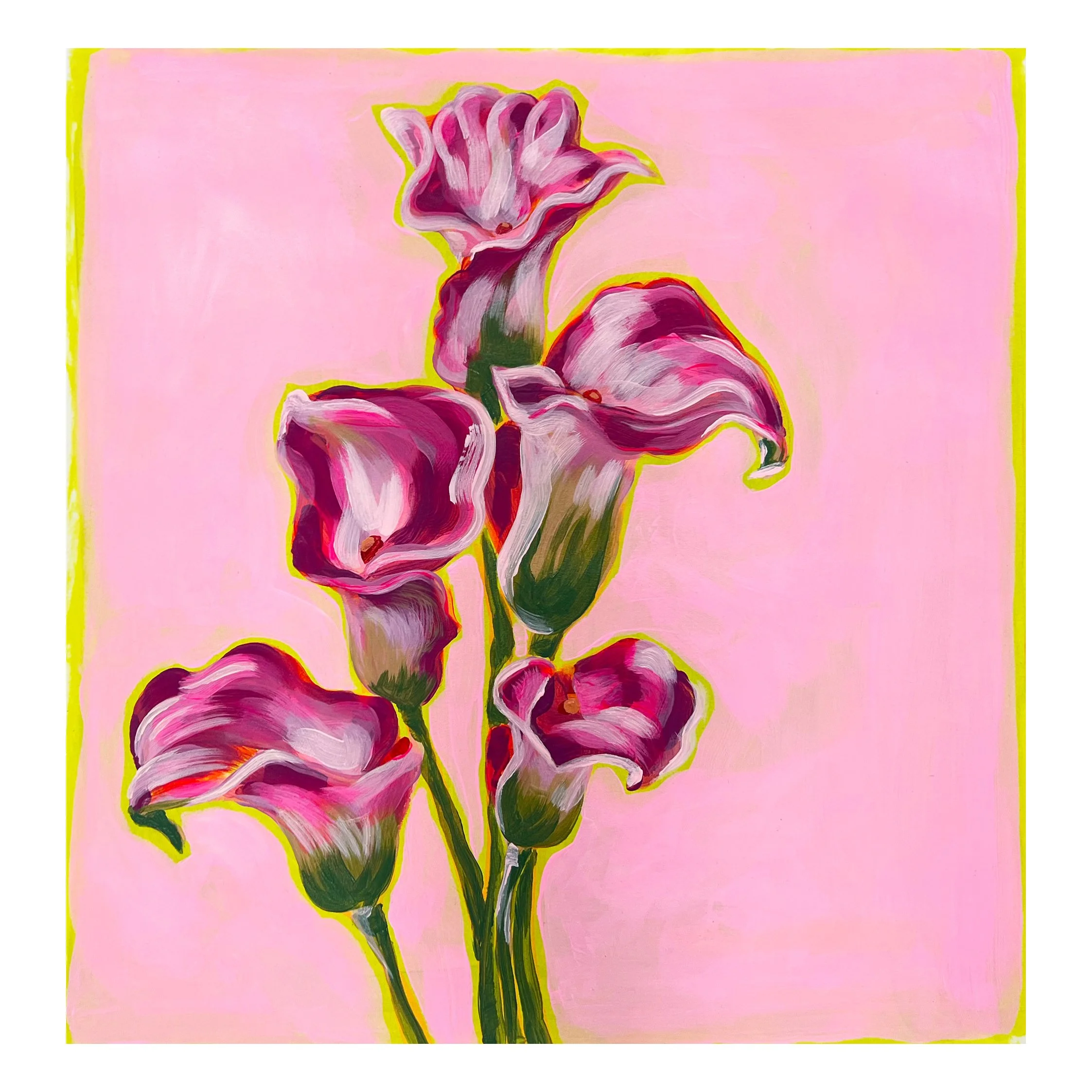 Calla Lilies