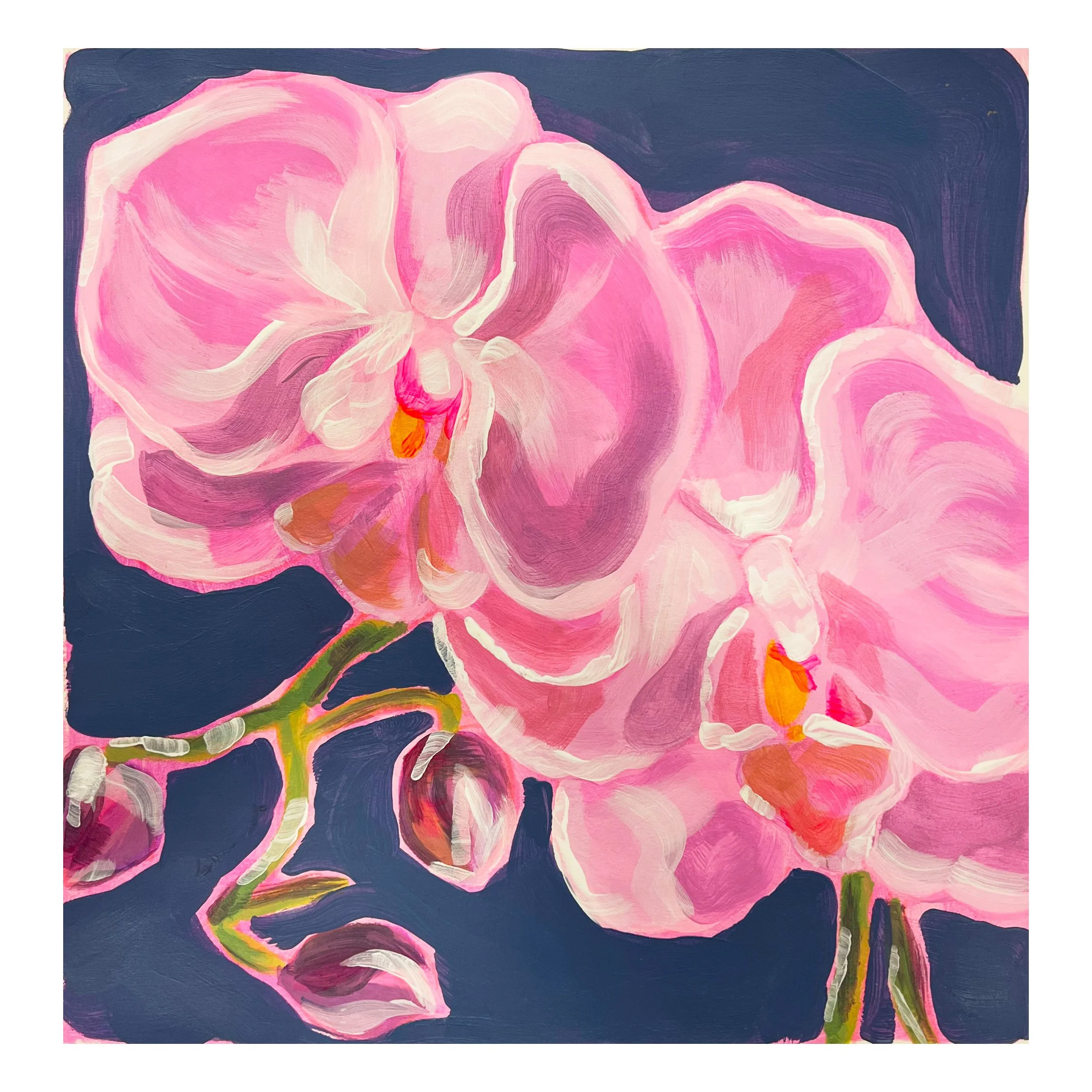 Orchids