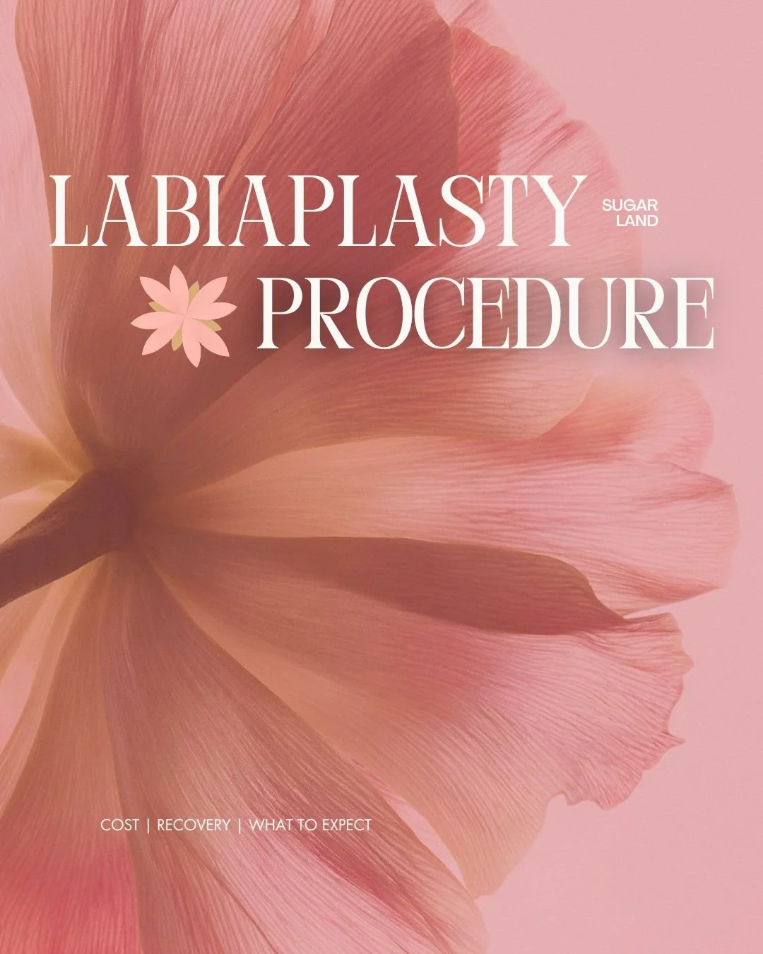 Labiaplasty Procedure: Cost, Recovery &amp; What to Expect