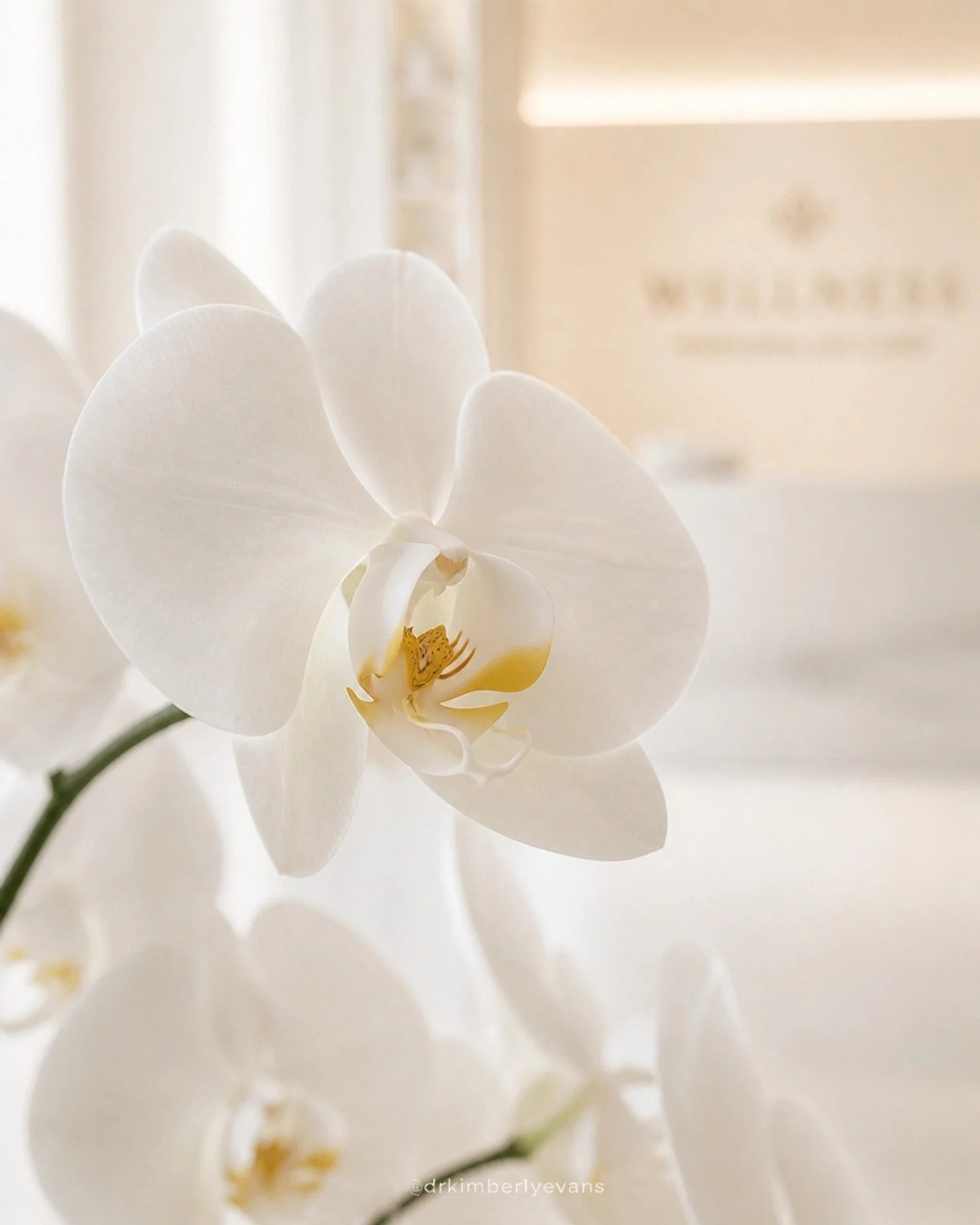 Confidence and comfort shouldn&rsquo;t be a luxury: they should be your standard. ✨

At Texas Cosmetic Gynecology, we&rsquo;ve curated the ultimate feminine wellness trio to help you reclaim your intimacy, strength, and self-assurance at every stage 