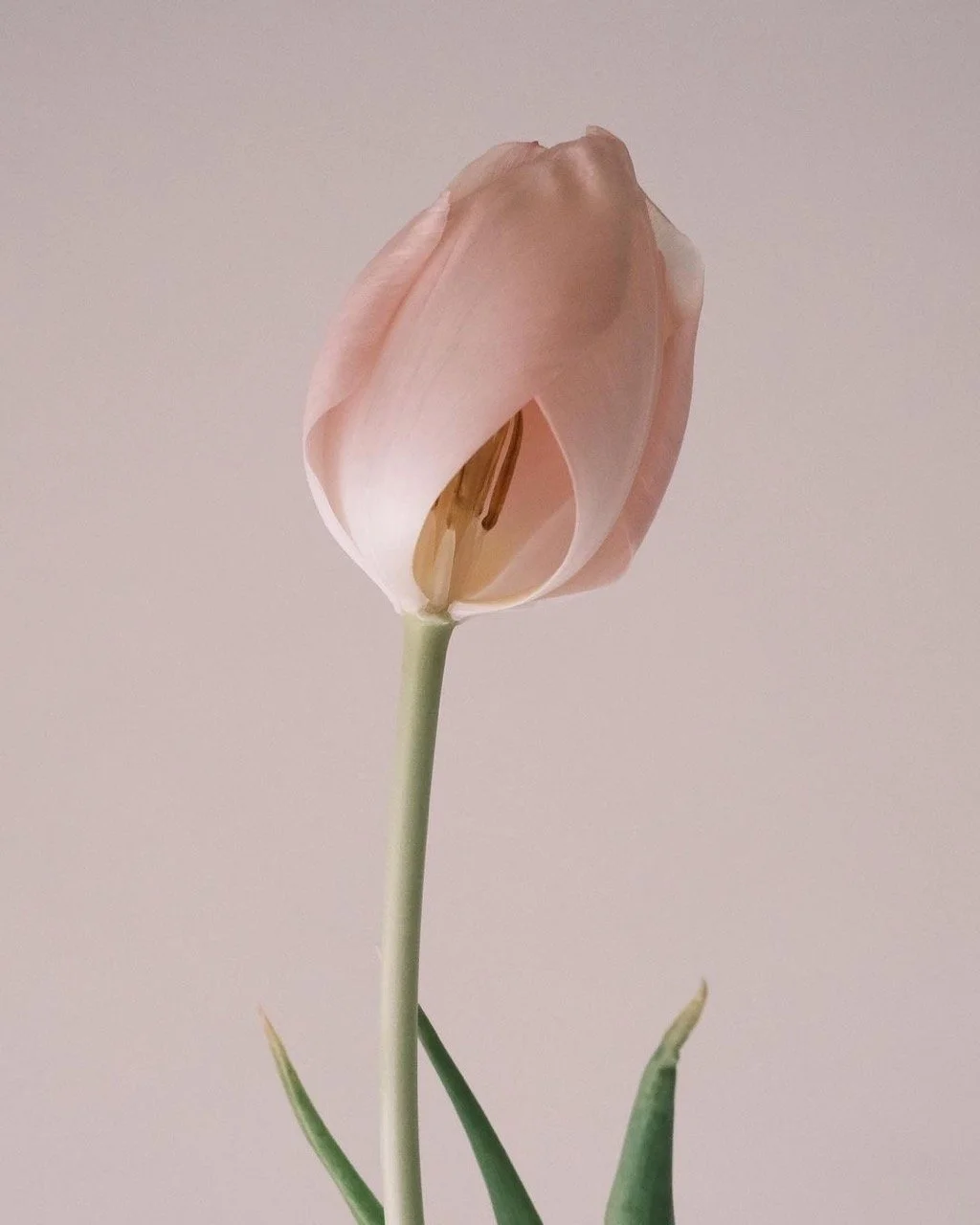 What Hymenoplasty Can Address