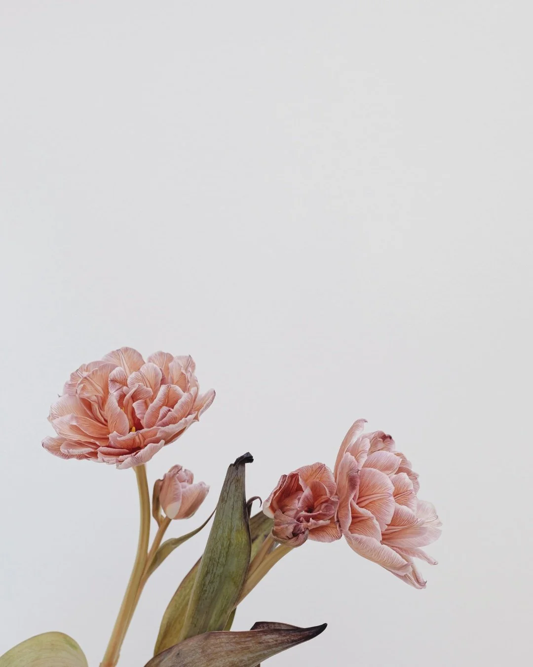 Specializing in expert cosmetic gynecology services in Houston by Dr. Kimberly L. Evans. Surgical & non-surgical treatments catered to individual needs.