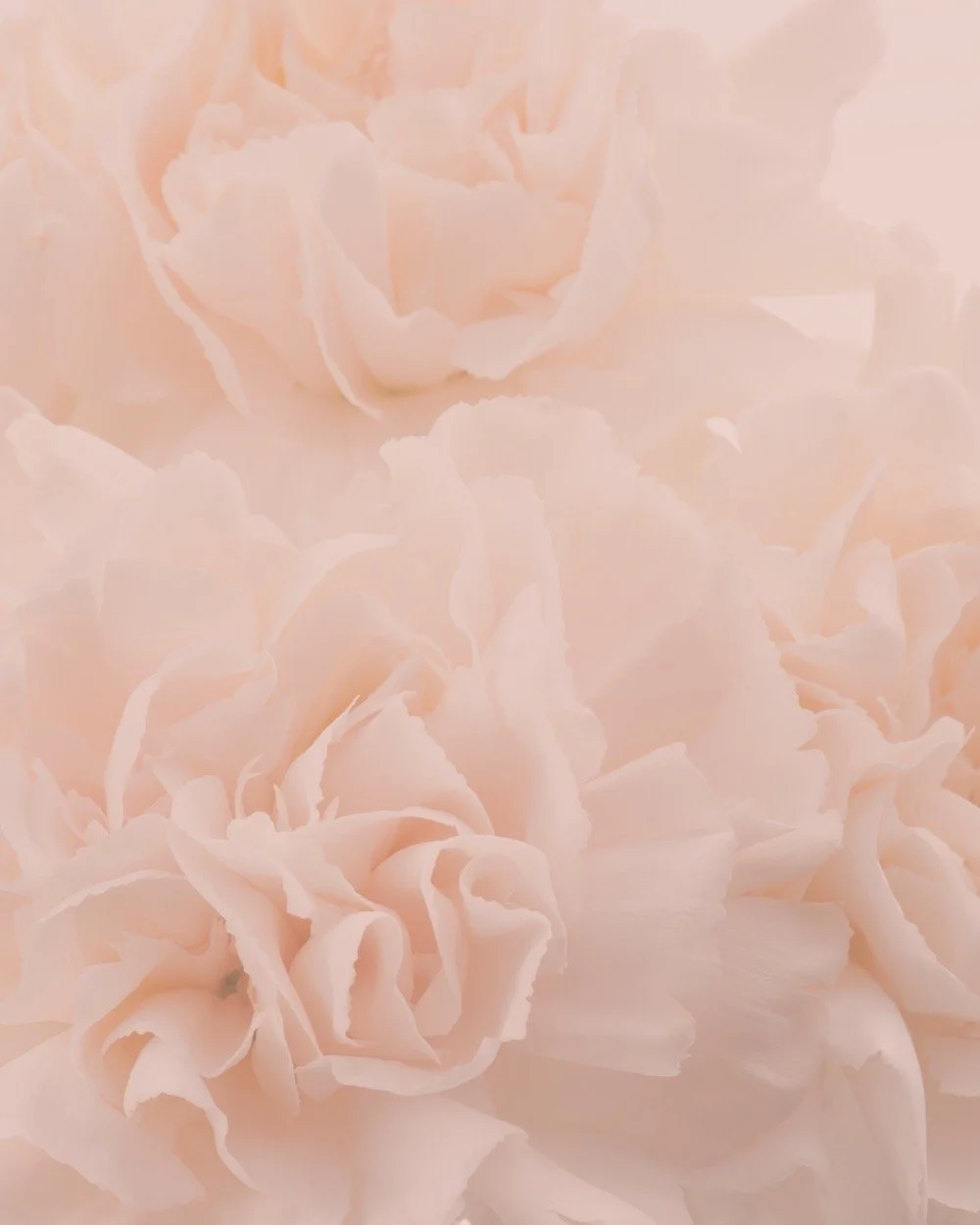 What Clitoral Hood Reduction Can Address