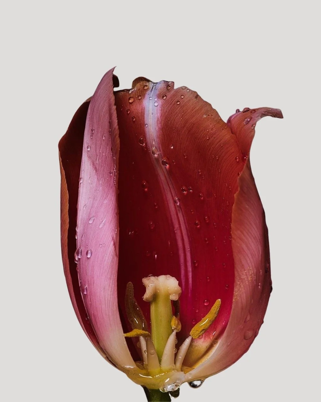 What Anal Skin Tag Removal  Can Address