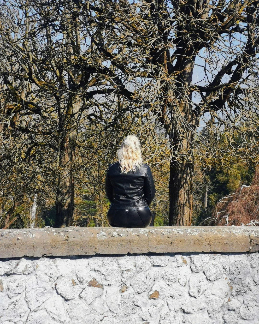 Blogbeitrag Park- Villa- Bergfried(3)~4.png