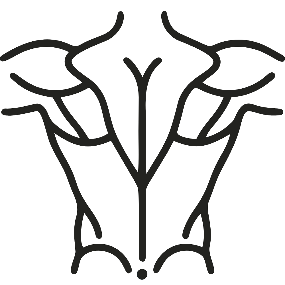 dr. Jon Denning myofascial release Westminster, CO