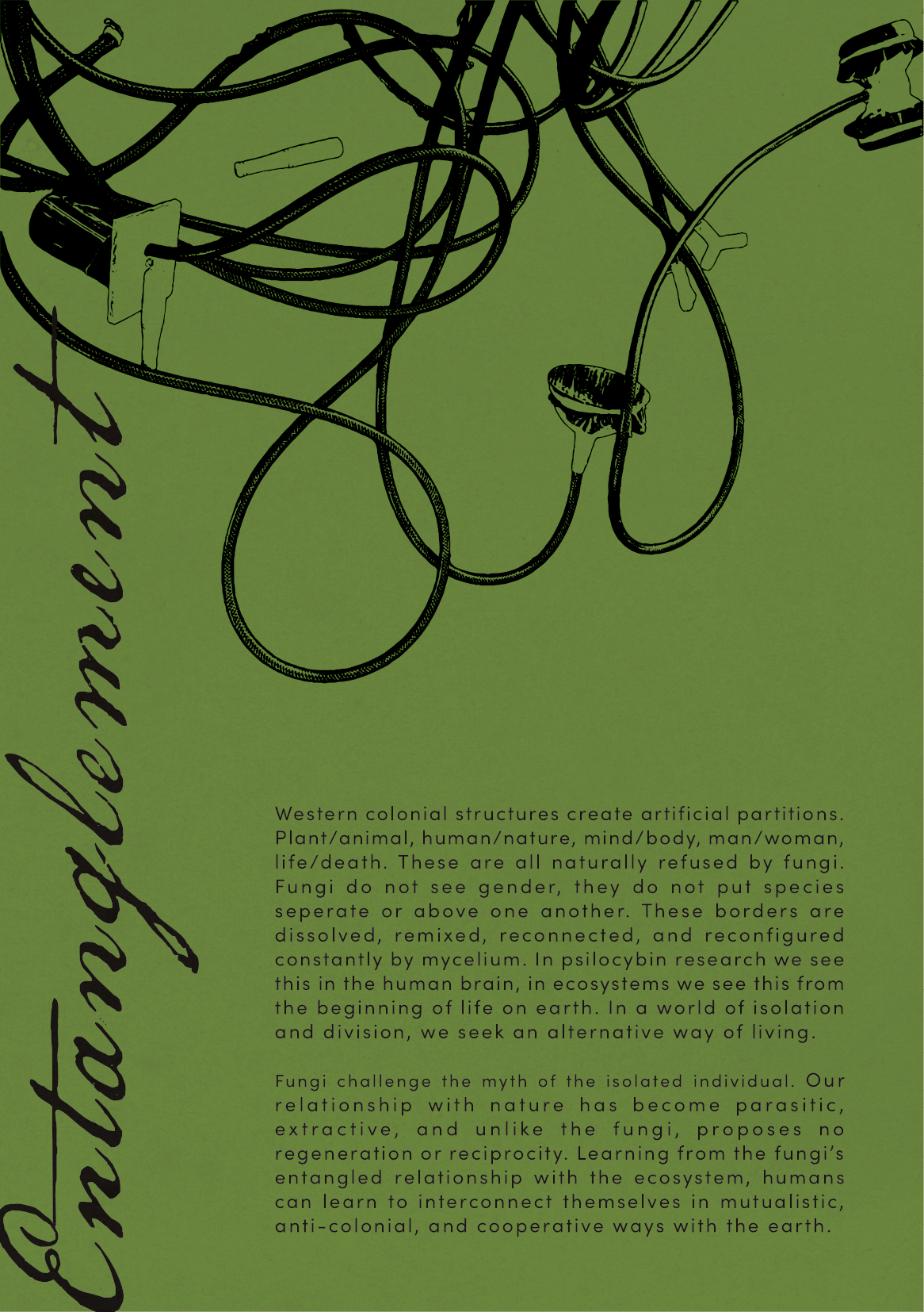 polyfungal maypole booklet-07.png