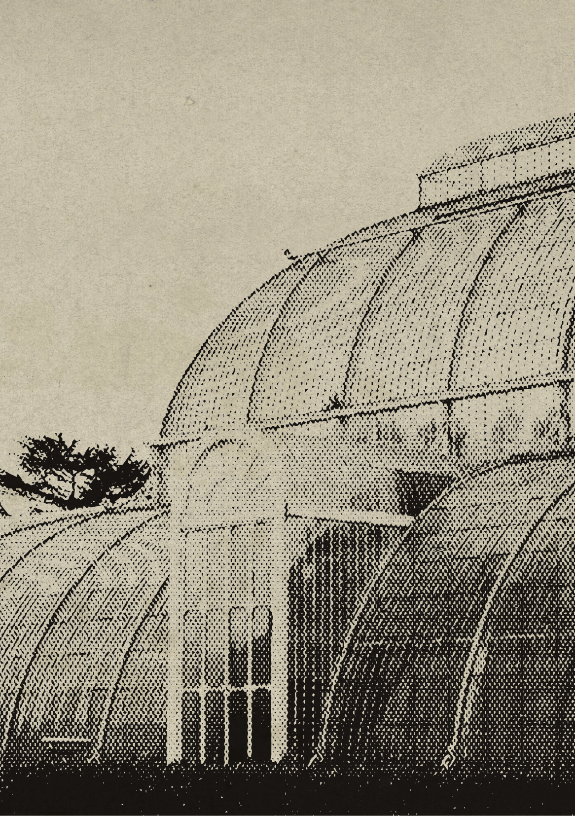 polyfungal maypole booklet-19.png