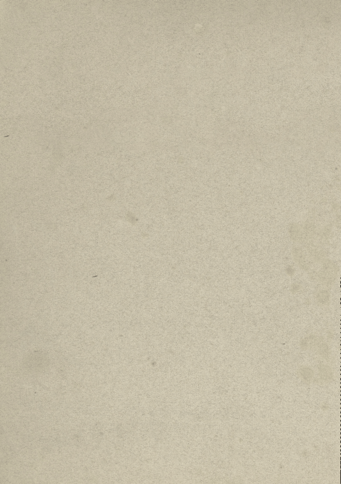 polyfungal maypole booklet-18.png