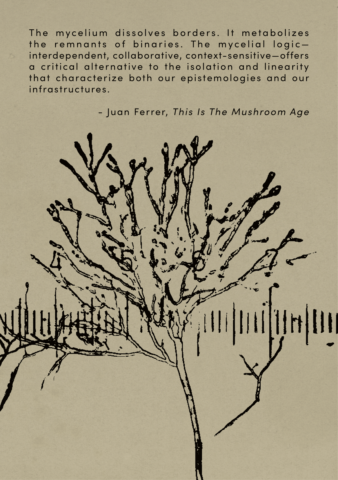 polyfungal maypole booklet-05.png