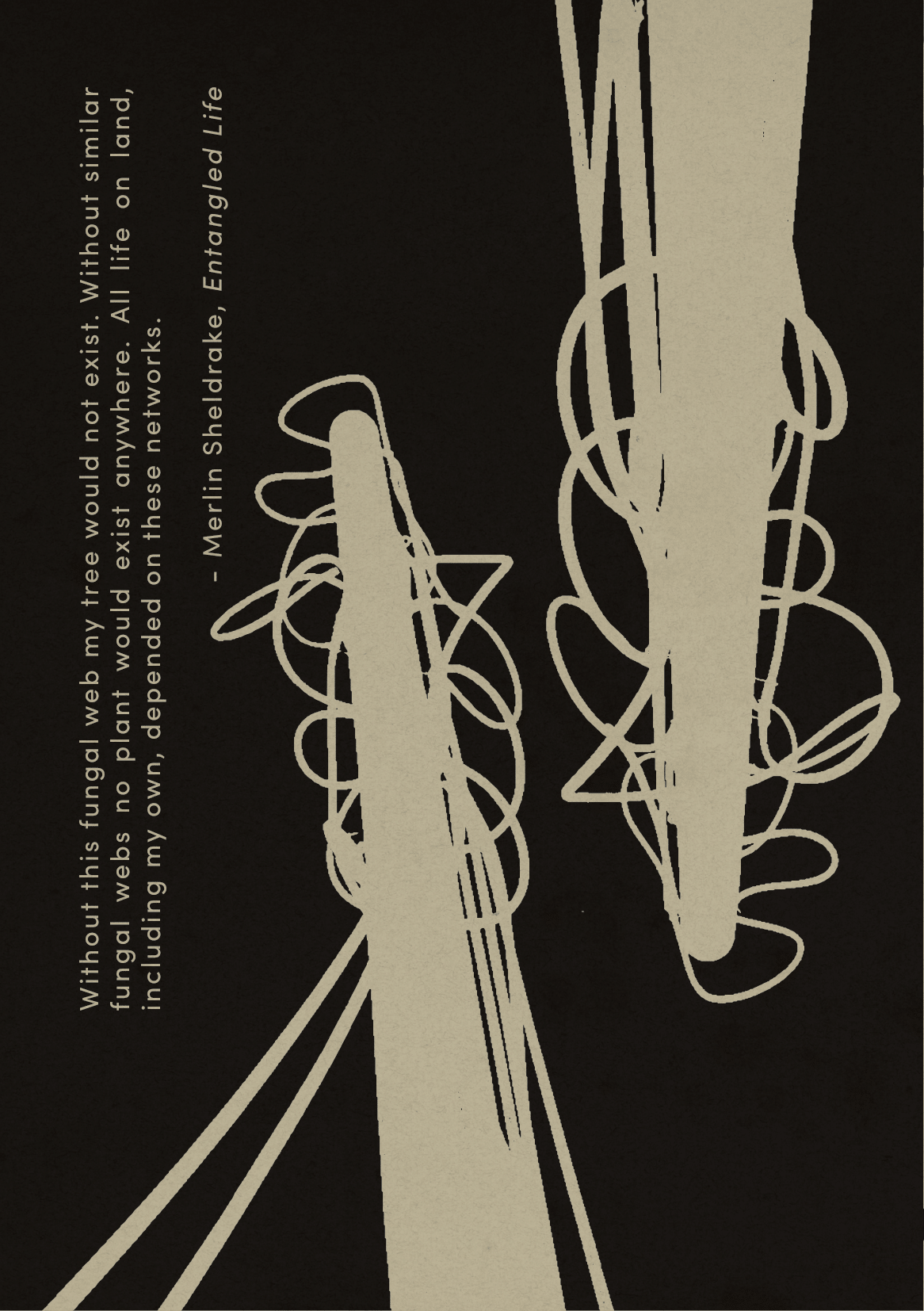 polyfungal maypole booklet-06.png