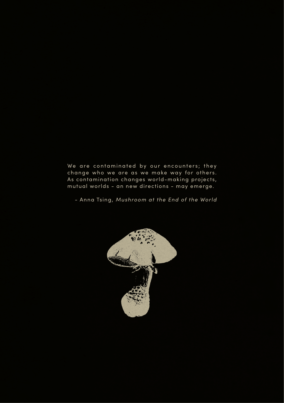 polyfungal maypole booklet-20.png