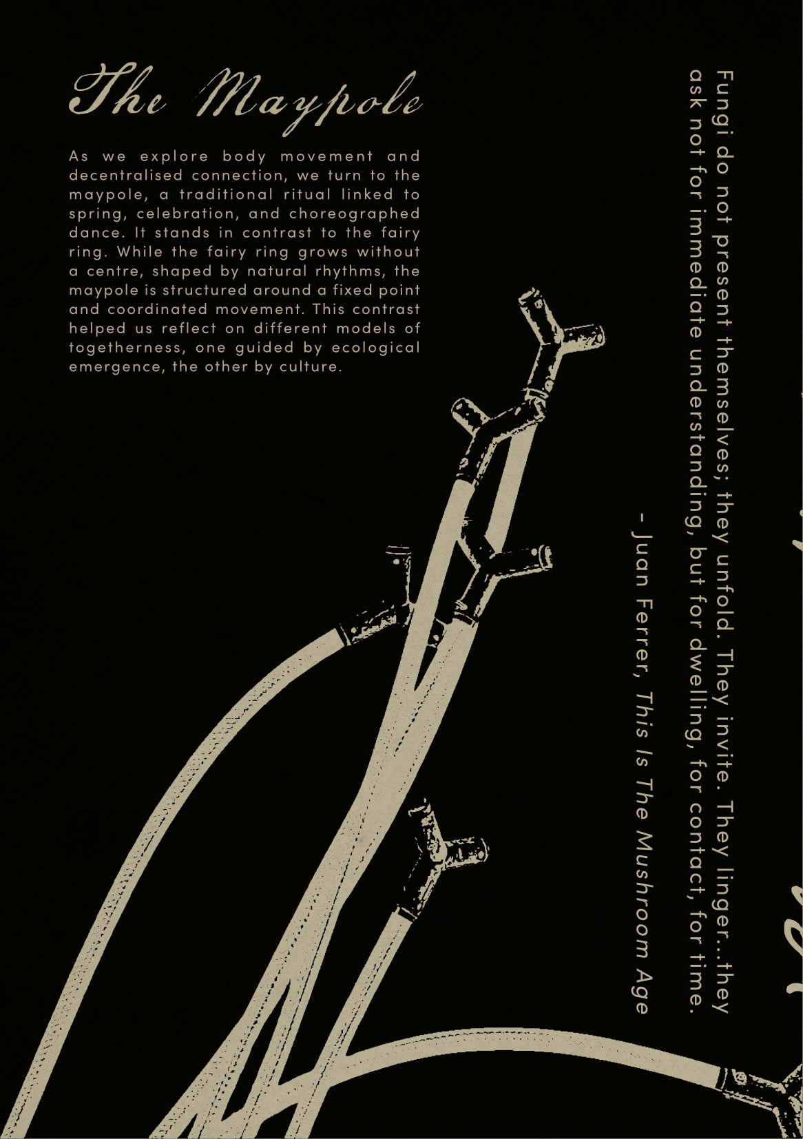 polyfungal maypole booklet-14.png