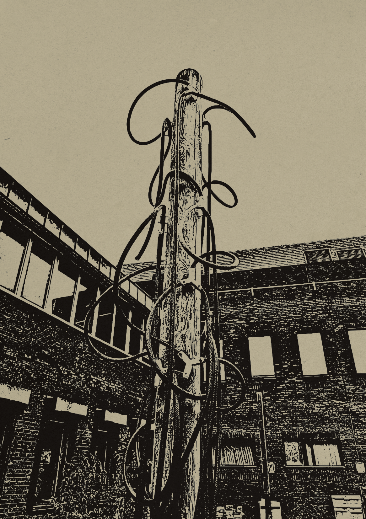 polyfungal maypole booklet-16.png