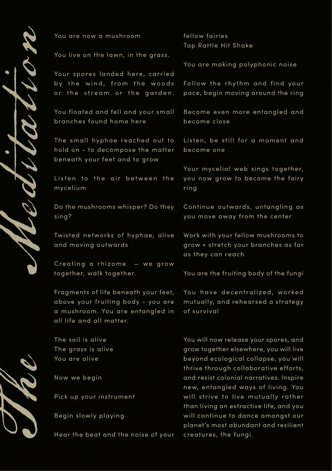 polyfungal maypole booklet-15.png