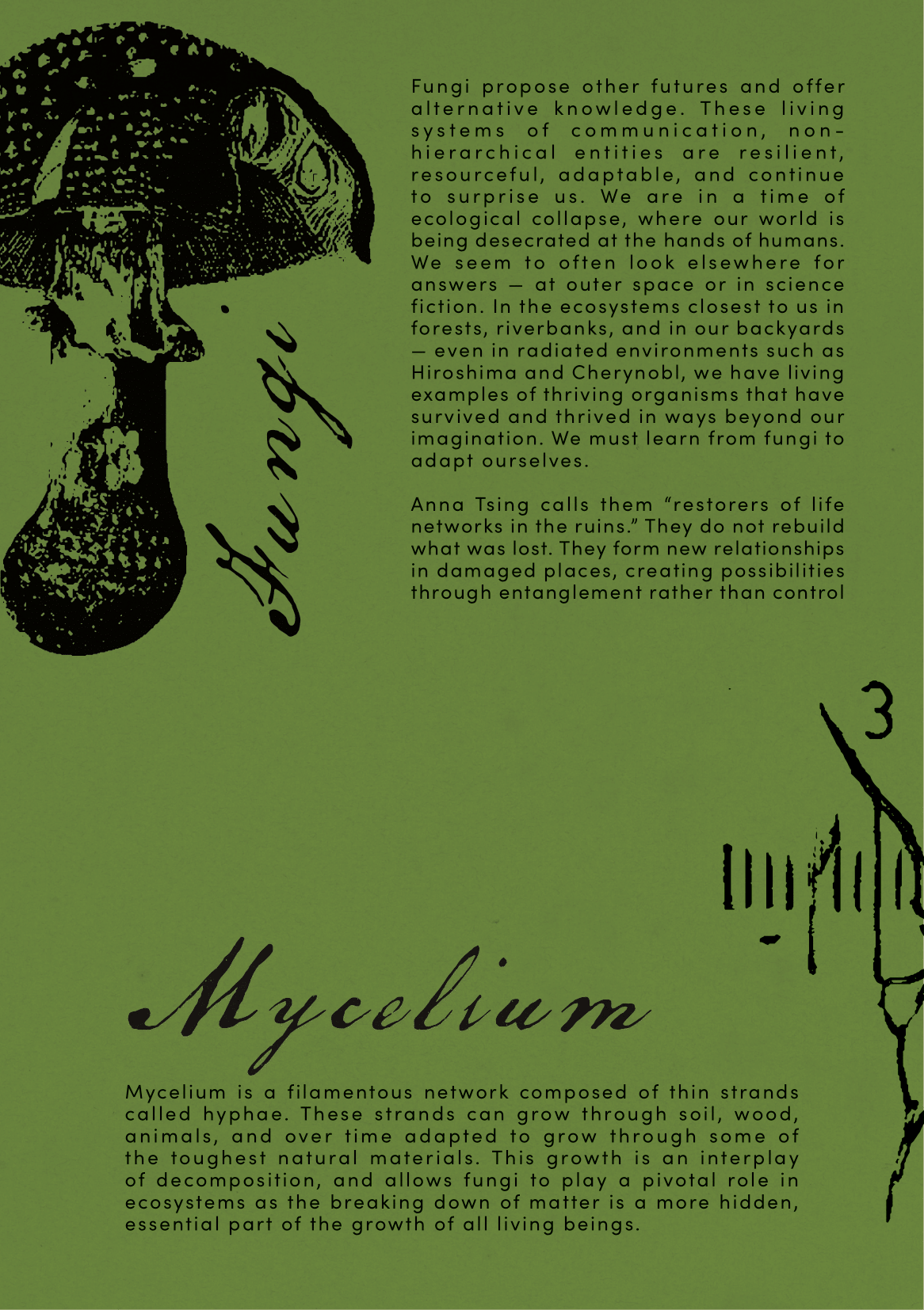 polyfungal maypole booklet-04.png