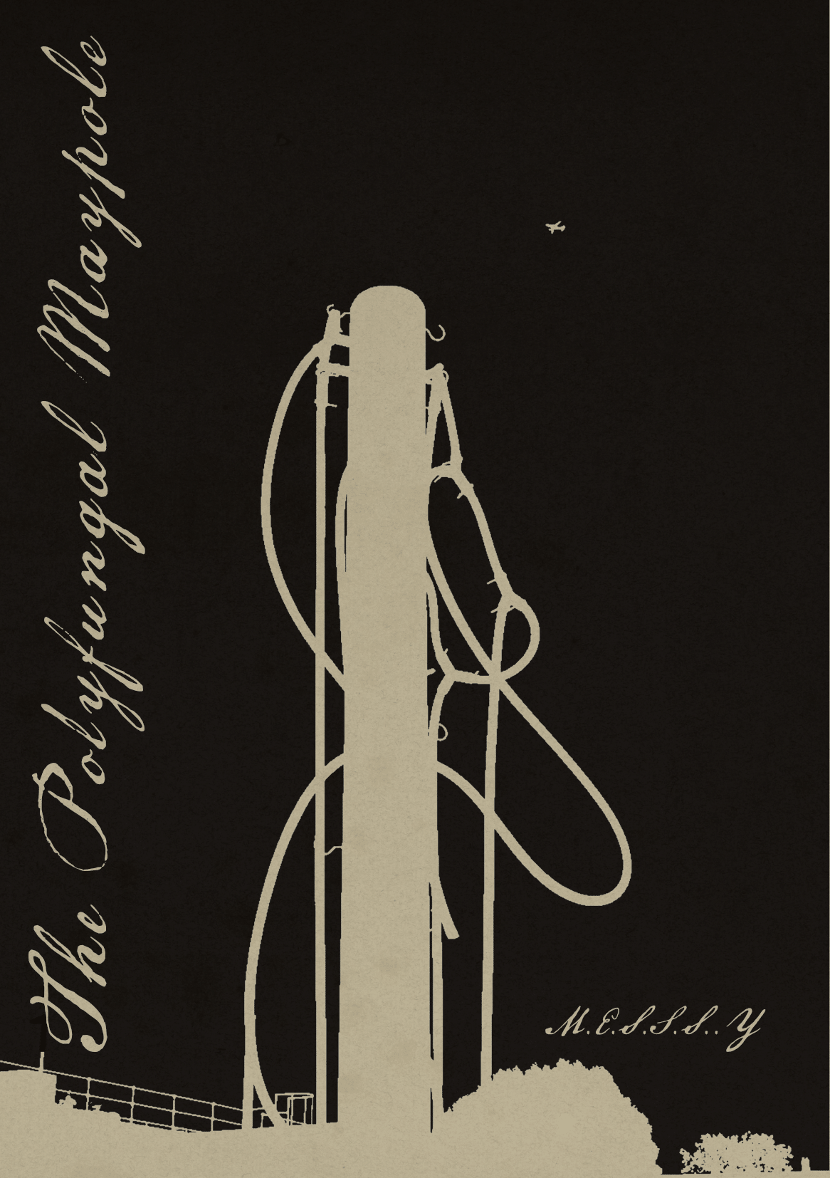 polyfungal maypole booklet-01.png