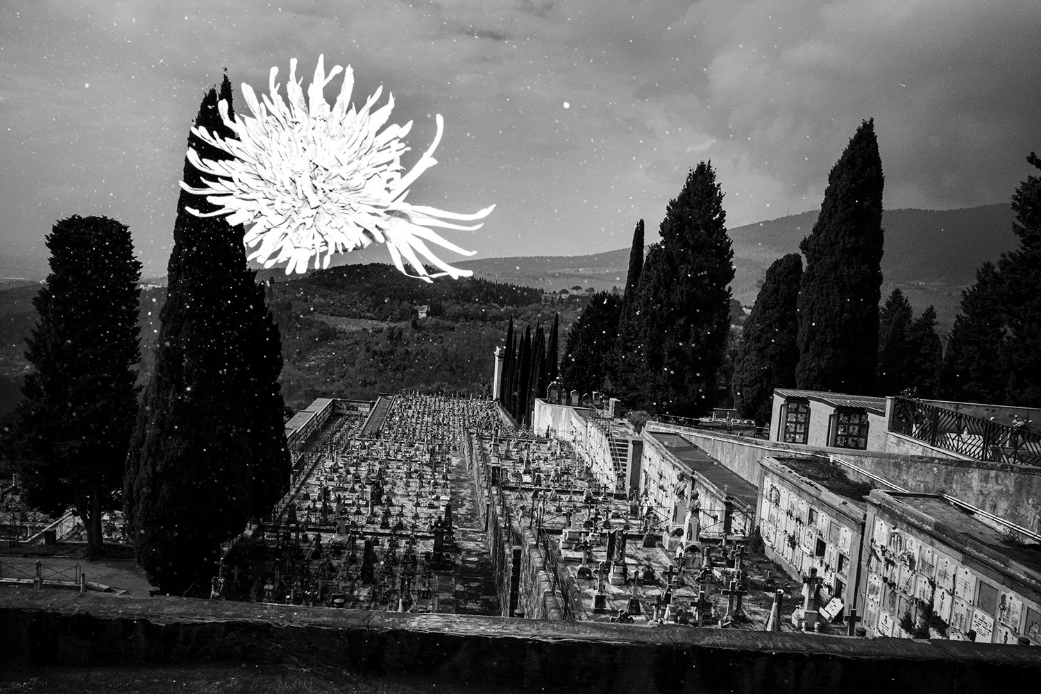 R0009739 copy sm.jpg