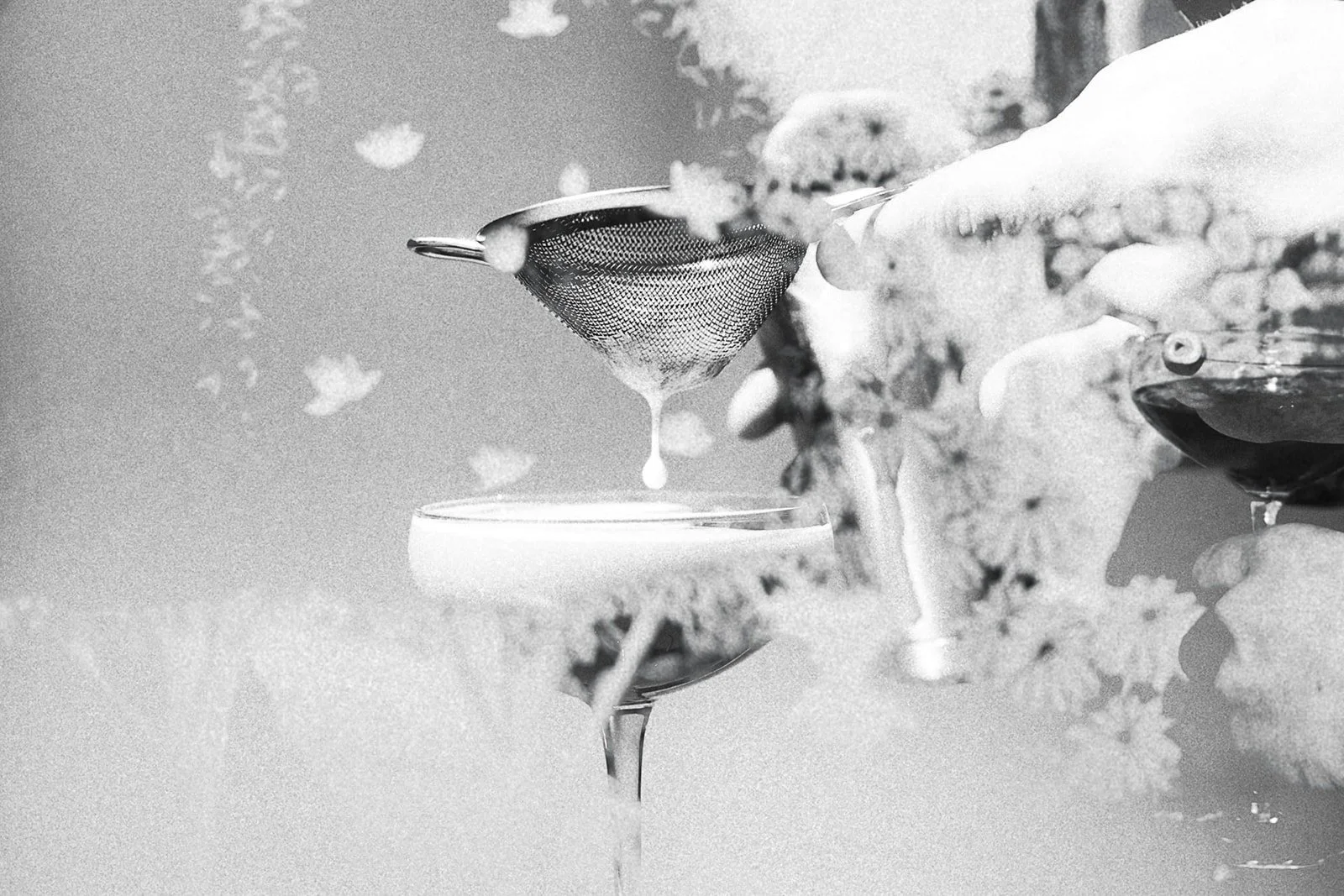 shaken not stirred cocktail sharker