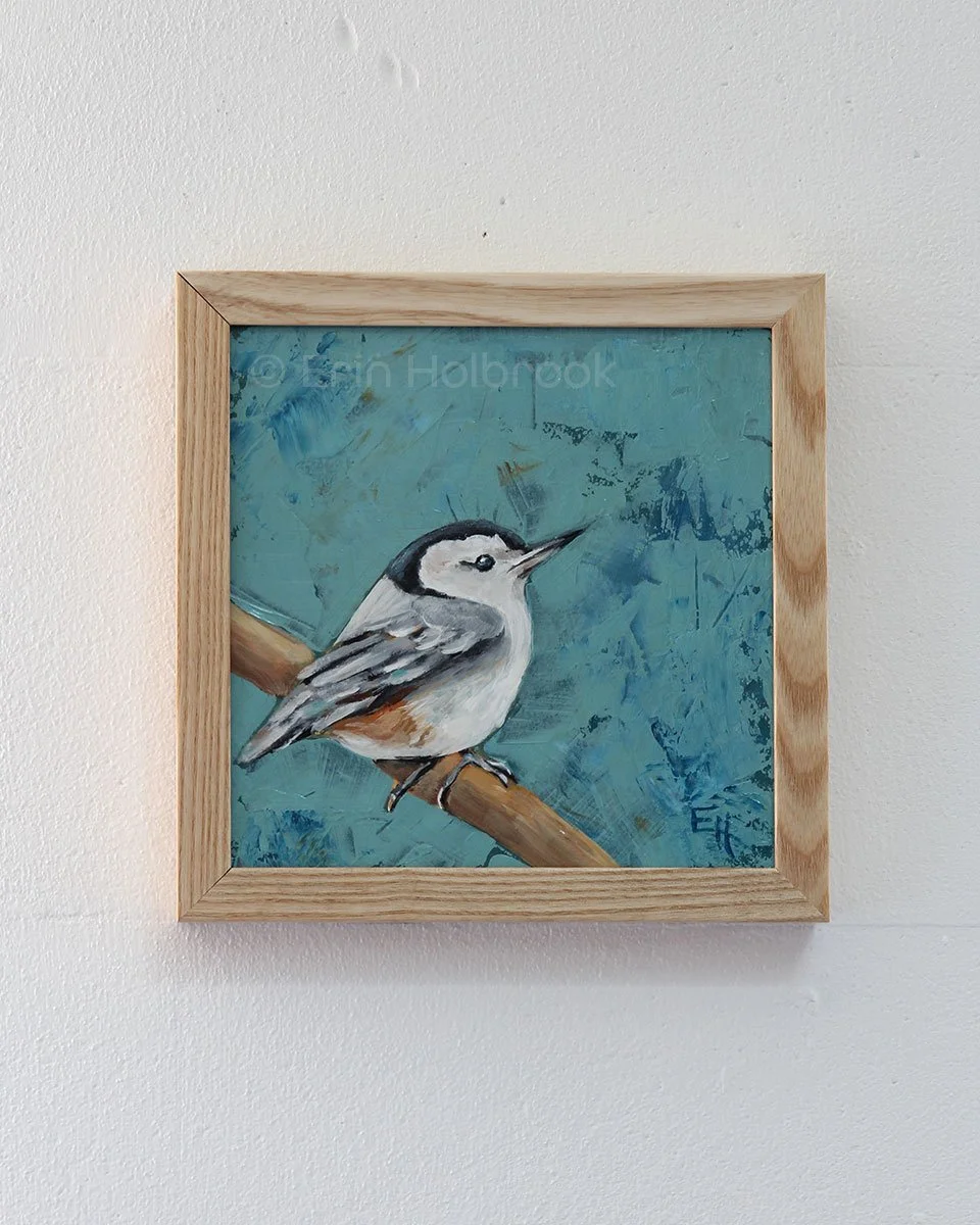 Nuthatch-on-Wall.jpg