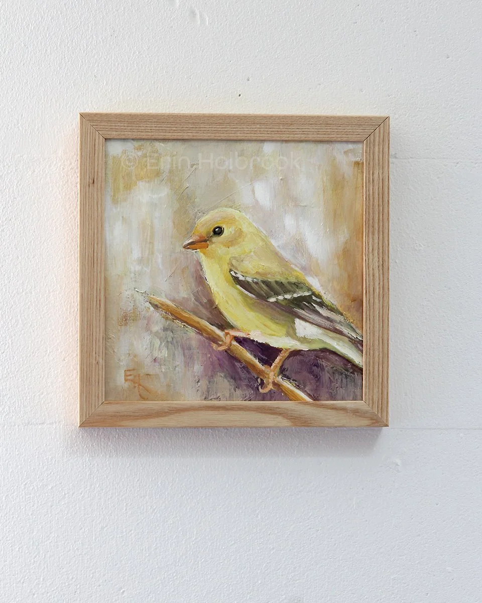 American-Goldfinch-On-Wall.jpg