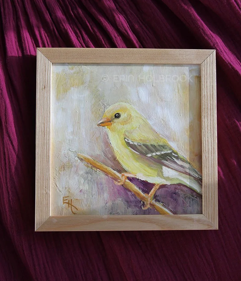 Lady Goldfinch