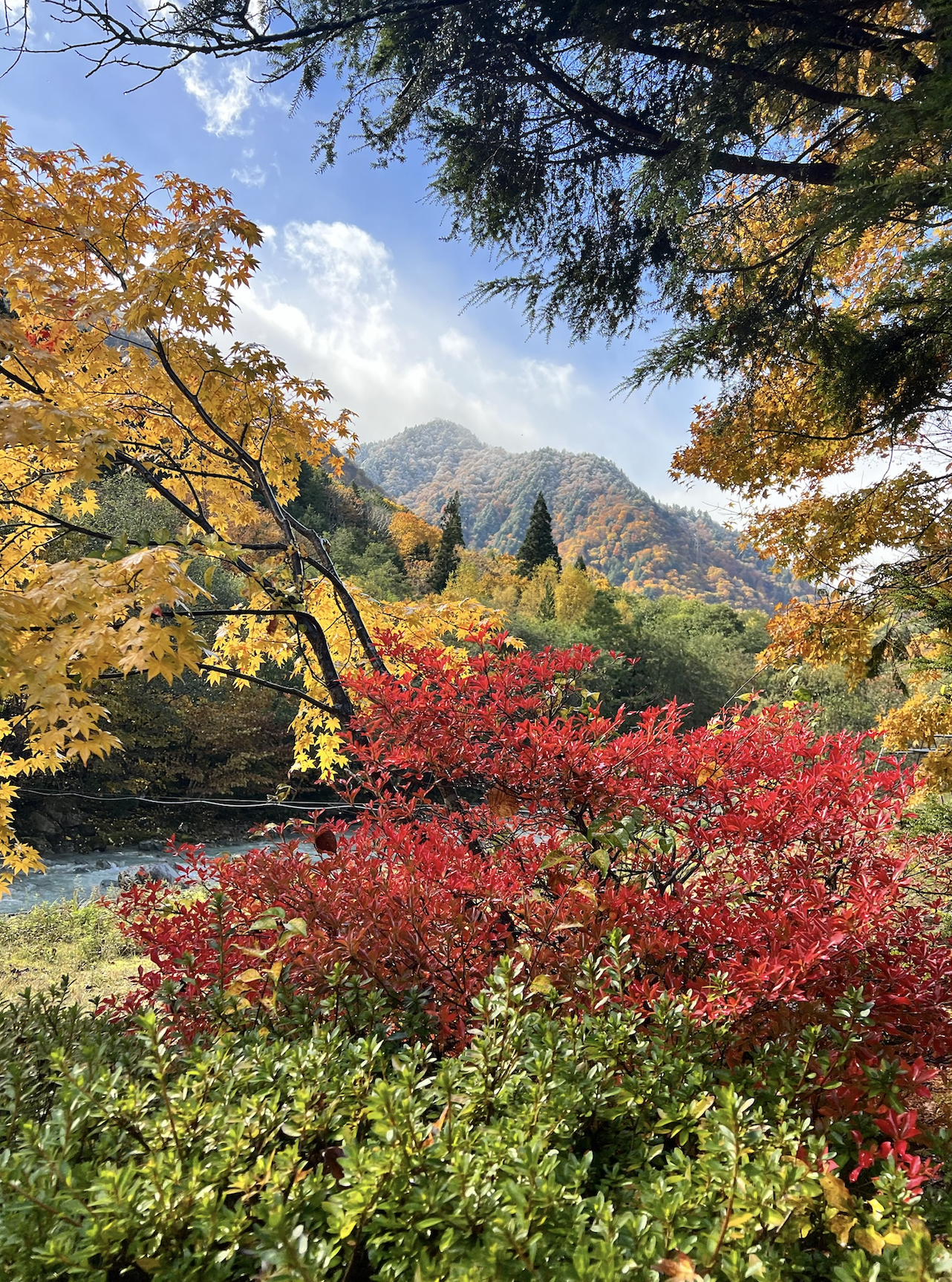 Scenic view of colorful autumn foliage on trees with yellow, red, and green leaves, mountain in the background, and a partly cloudy sky.