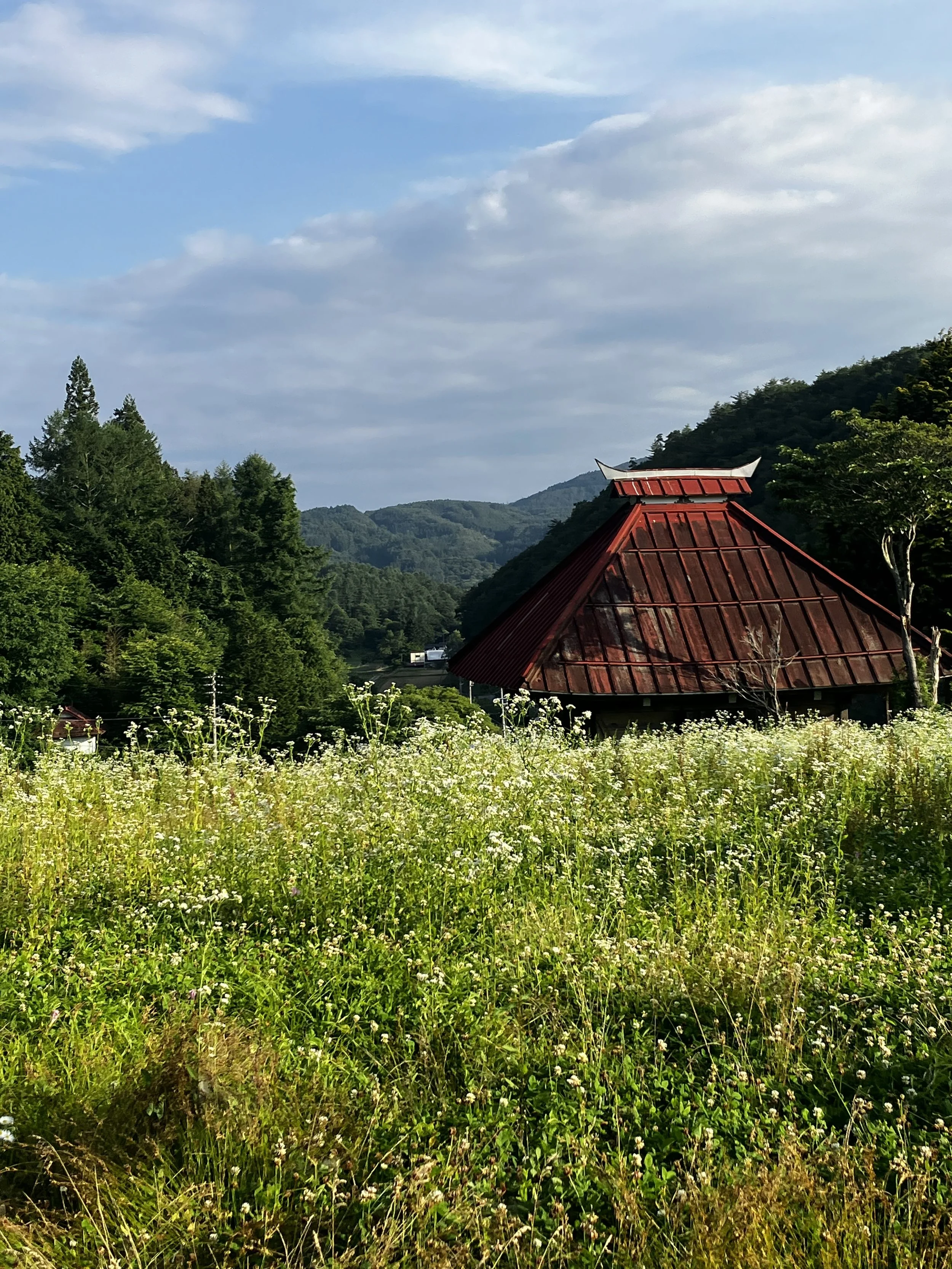 A lush green field filled with wildflowers and grass, with a red-roofed structure partially visible. In the background, there are forested hills under a partly cloudy sky.