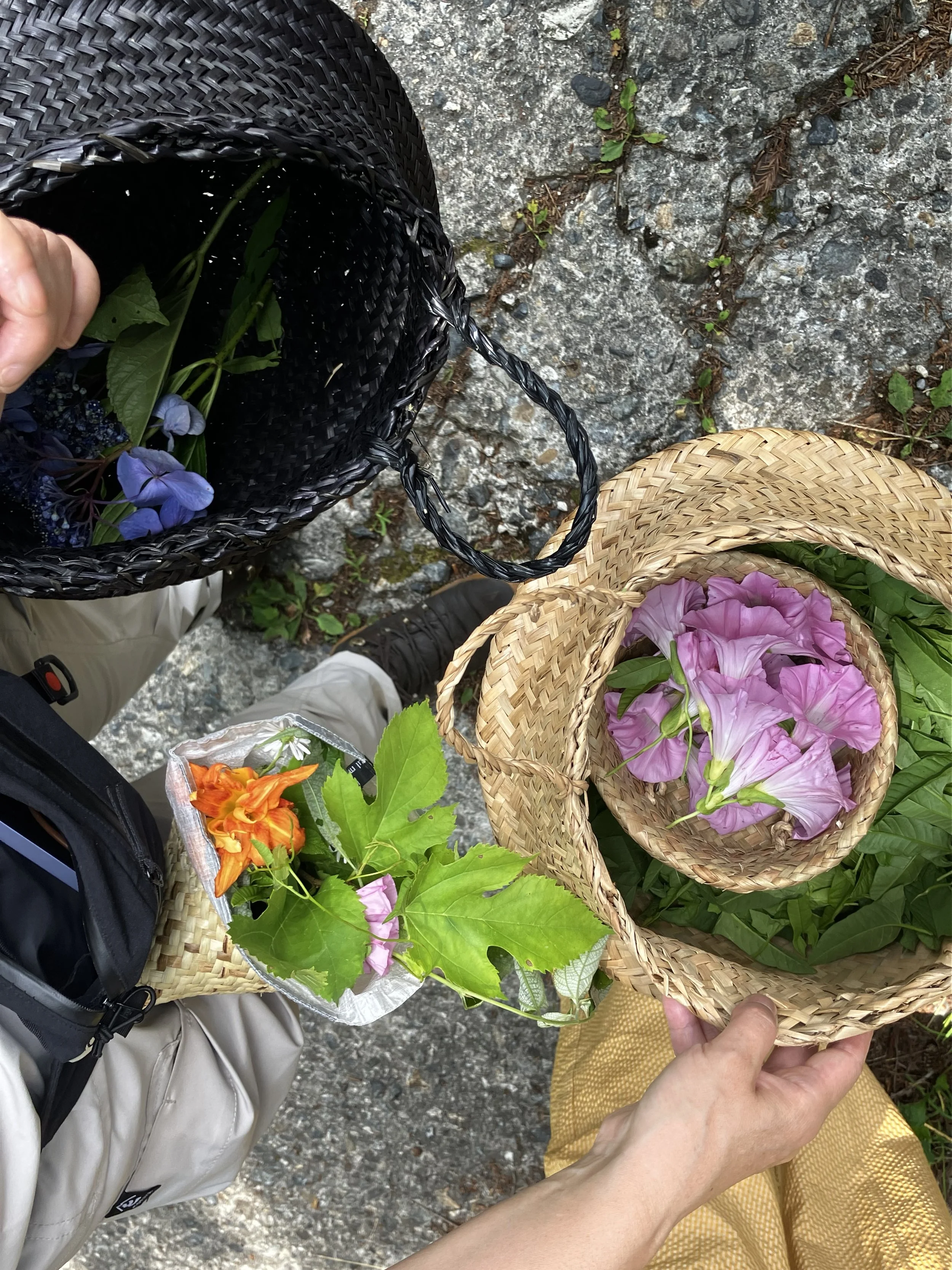 A person holding a woven basket filled with pink flowers. There are other flowers in a similar basket and a black woven bag containing purple flowers. The scene is outdoors on a rocky surface with small green plants.