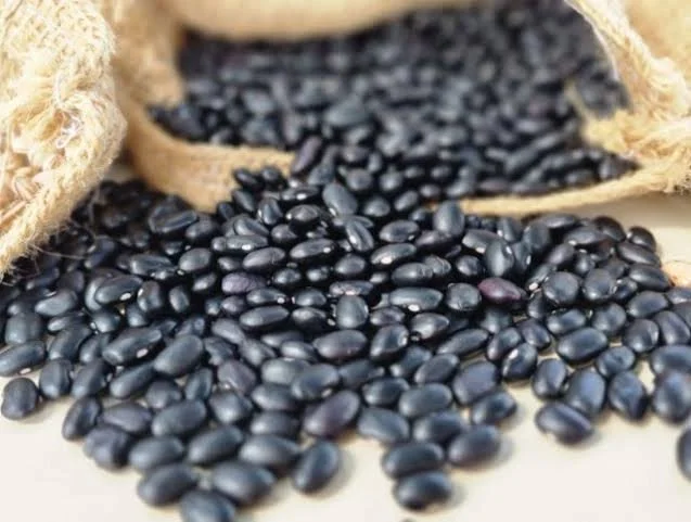 WhatsApp Image 2026-03-29 at 11.17.50 (1).jpeg