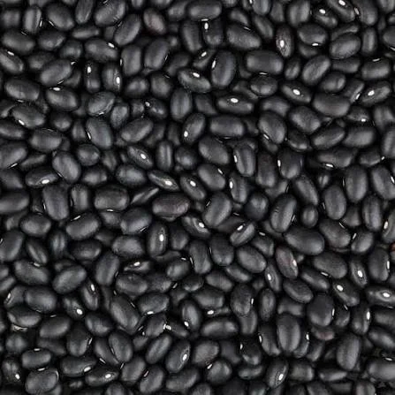 WhatsApp Image 2026-03-29 at 11.13.09.jpeg