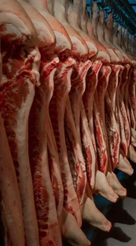 WhatsApp Image 2026-03-29 at 10.13.19.jpeg