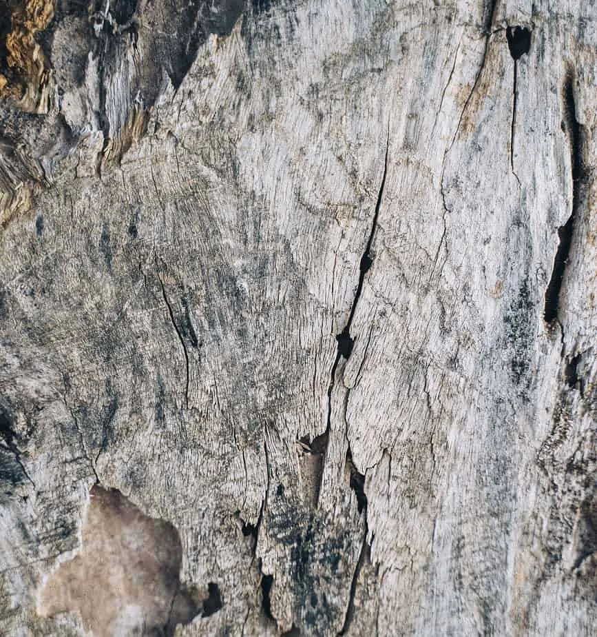 Handgemaakte tassen van kurk